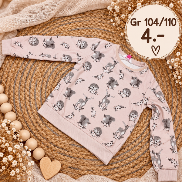 Rosa Pullover 104/110