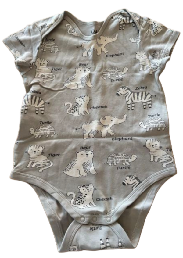Zoo Body 104