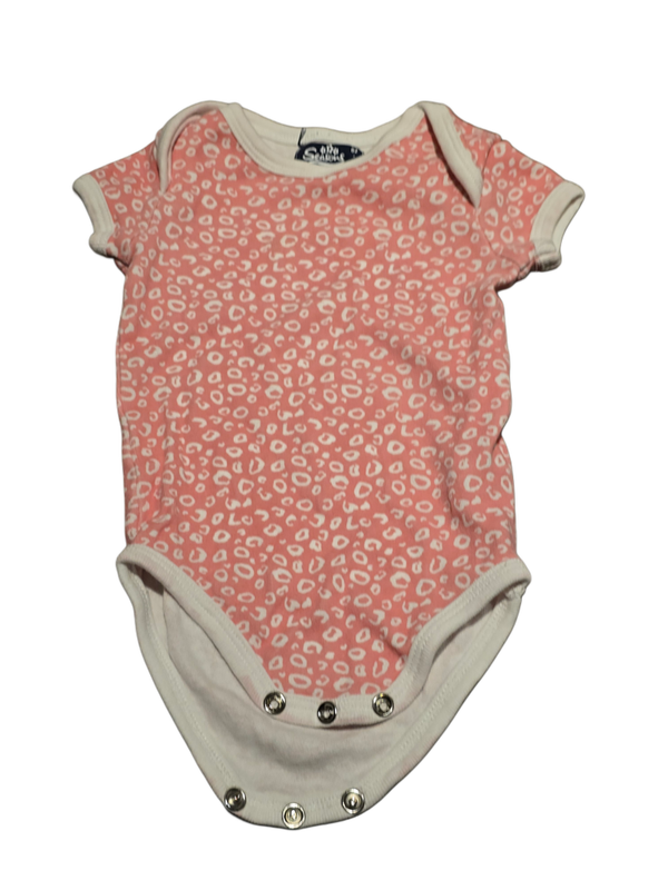 Rosaleo Body 62/68