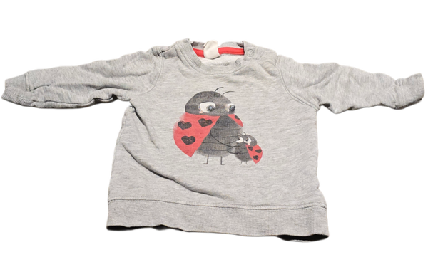 Marienkäfer Pullover 68