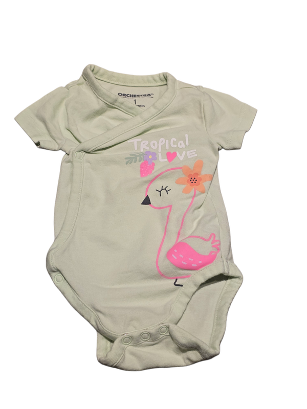 Flamingobody 56