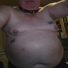 1000003992-standard.jpg