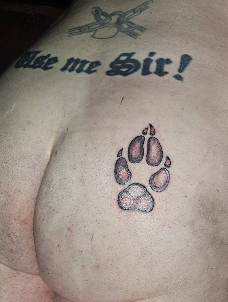 tattoo-today-2-standard.jpg