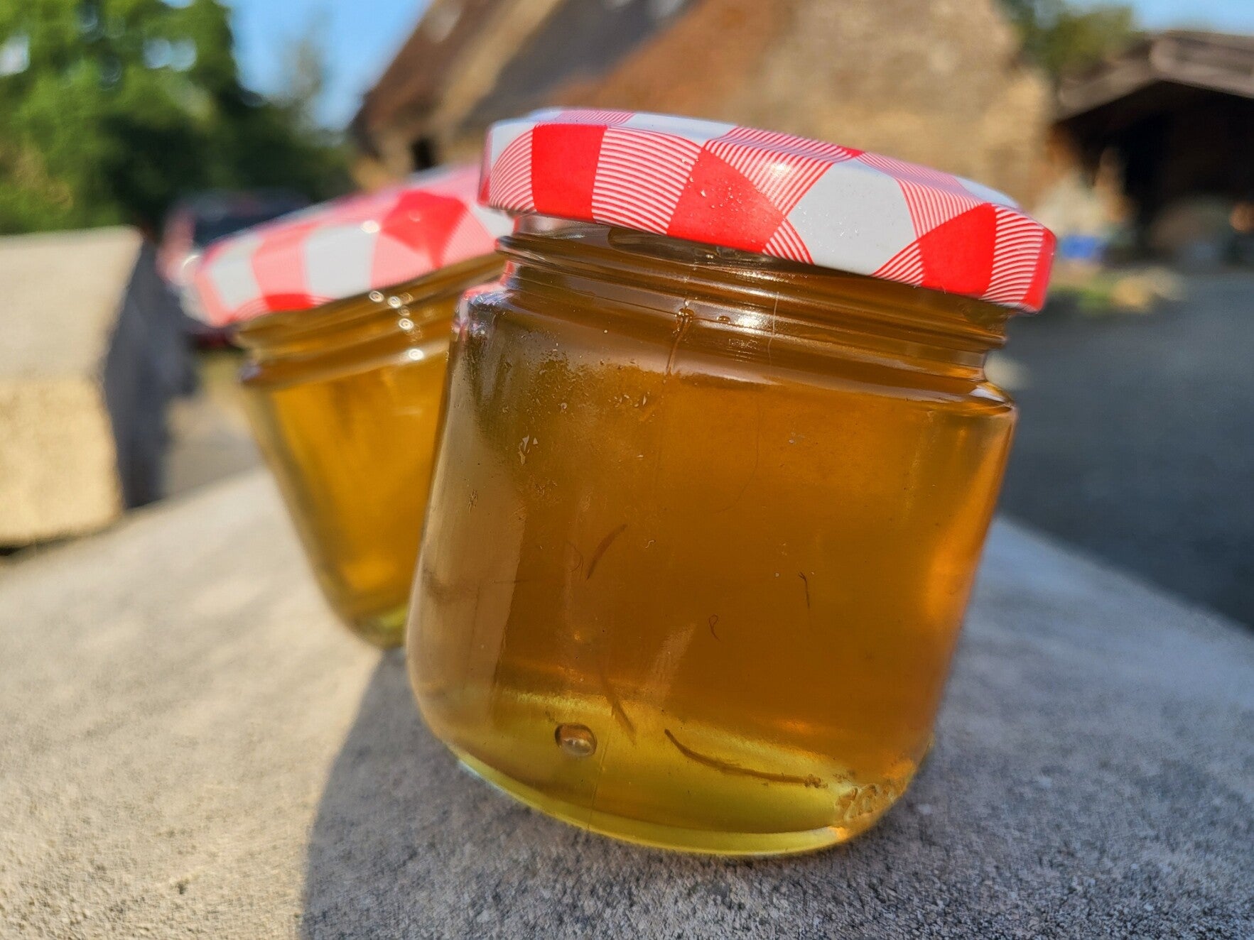 🍯 Miel de Pissenlit – Récolte artisanale à la main