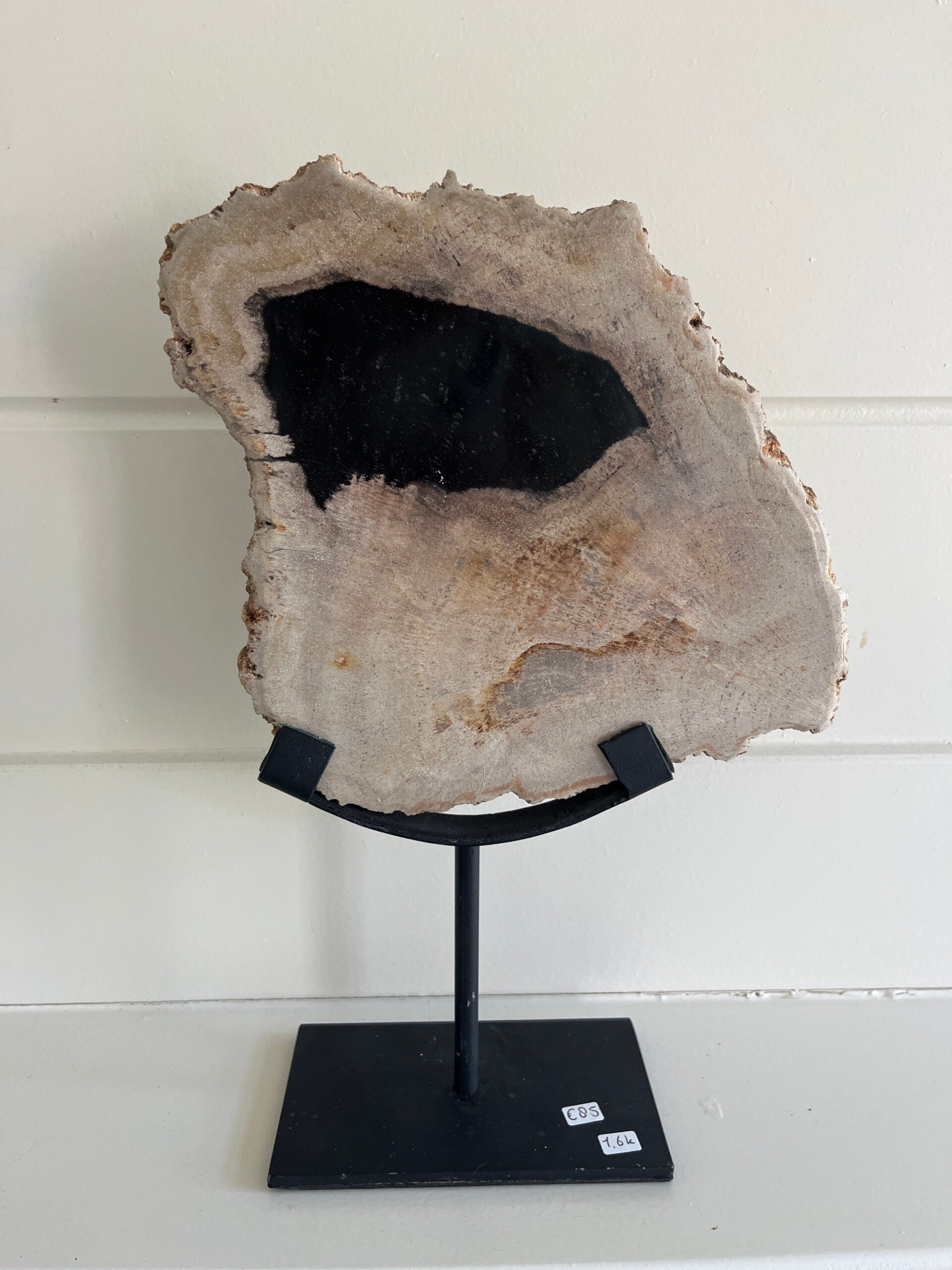 Versteend hout slab op standaard