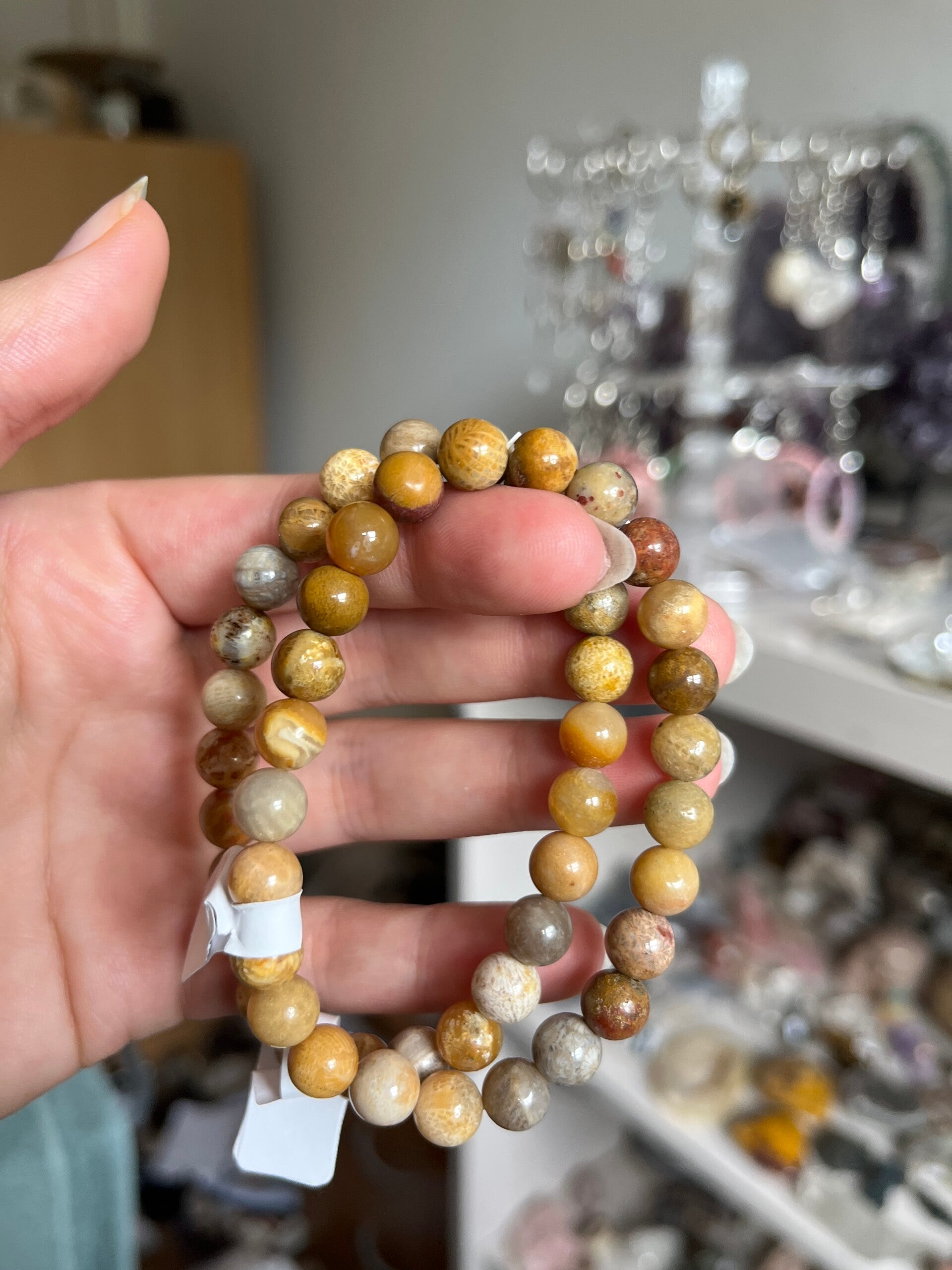 Fossiel koraal armband 8MM
