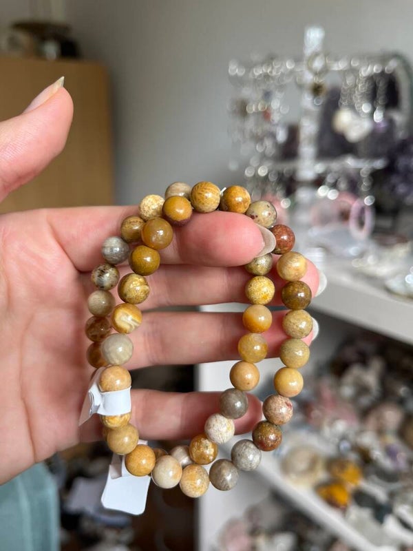 Fossiel koraal armband 8MM