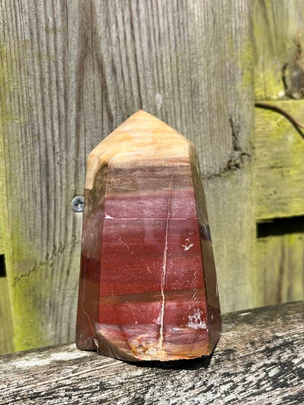 Versteend hout toren nr. 3