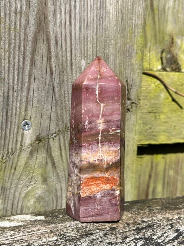 Versteend hout toren nr. 5
