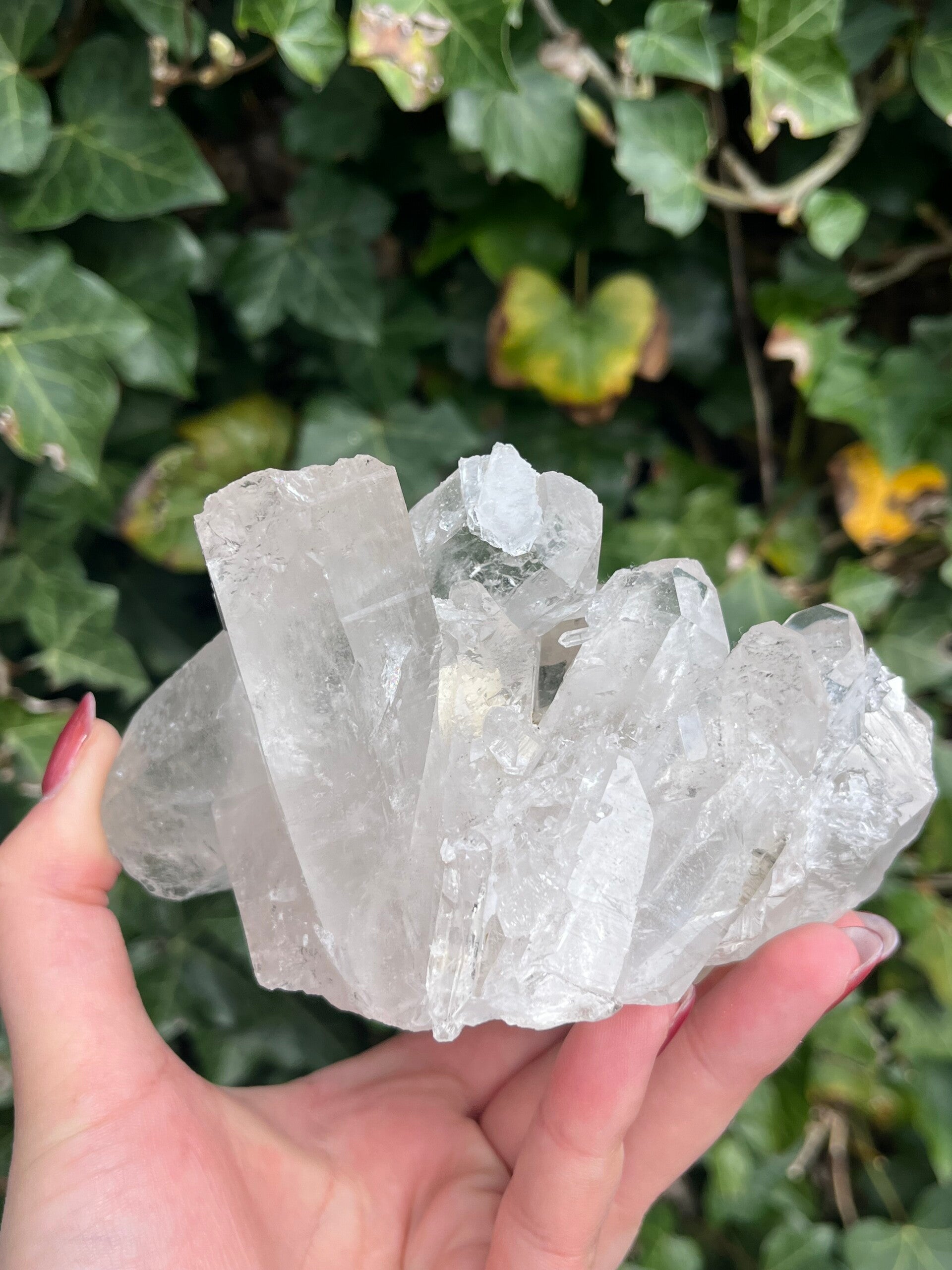 Bergkristal cluster