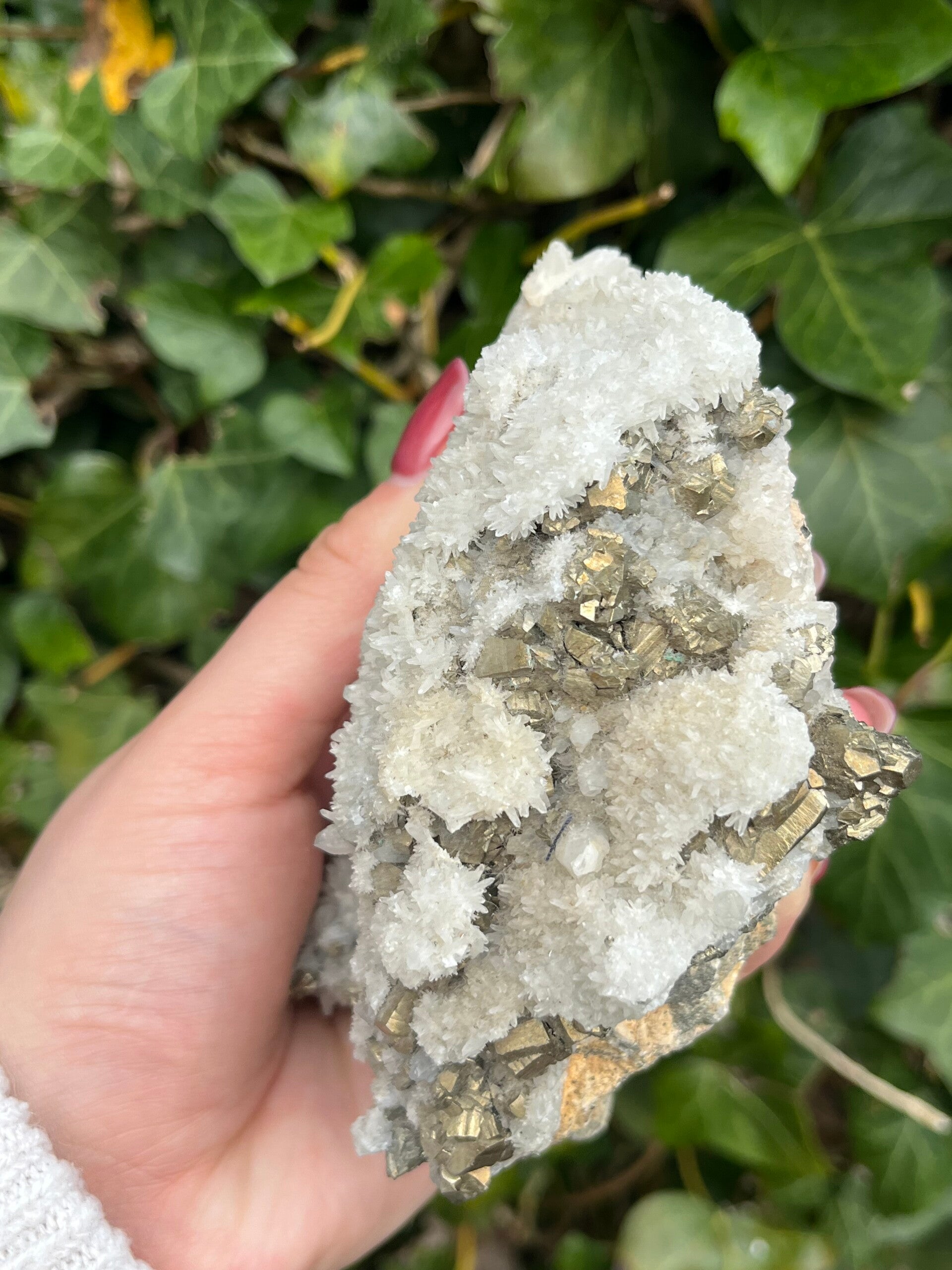 Kwarts met pyriet Bulgarije