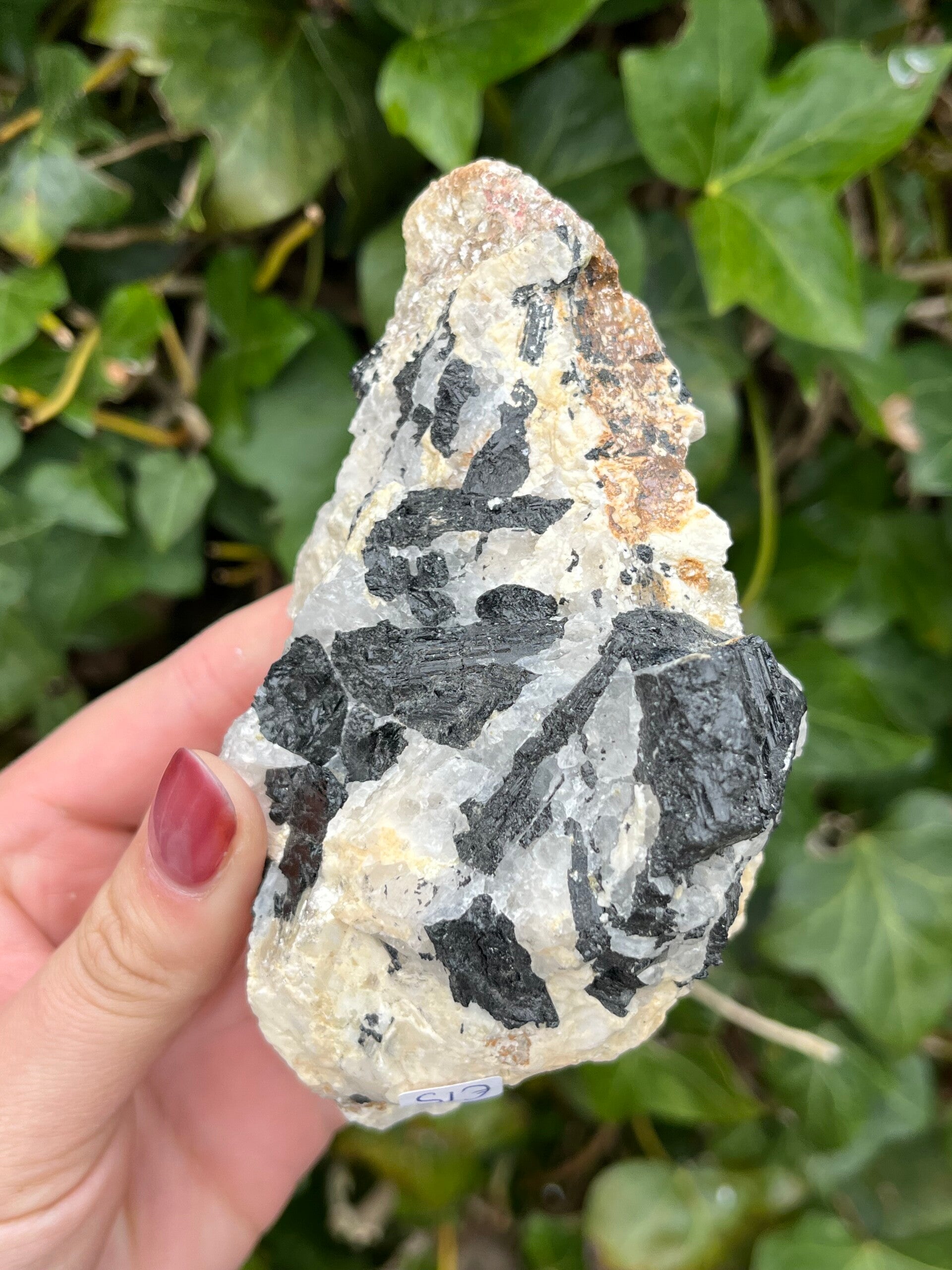Schorl met kwarts en mica