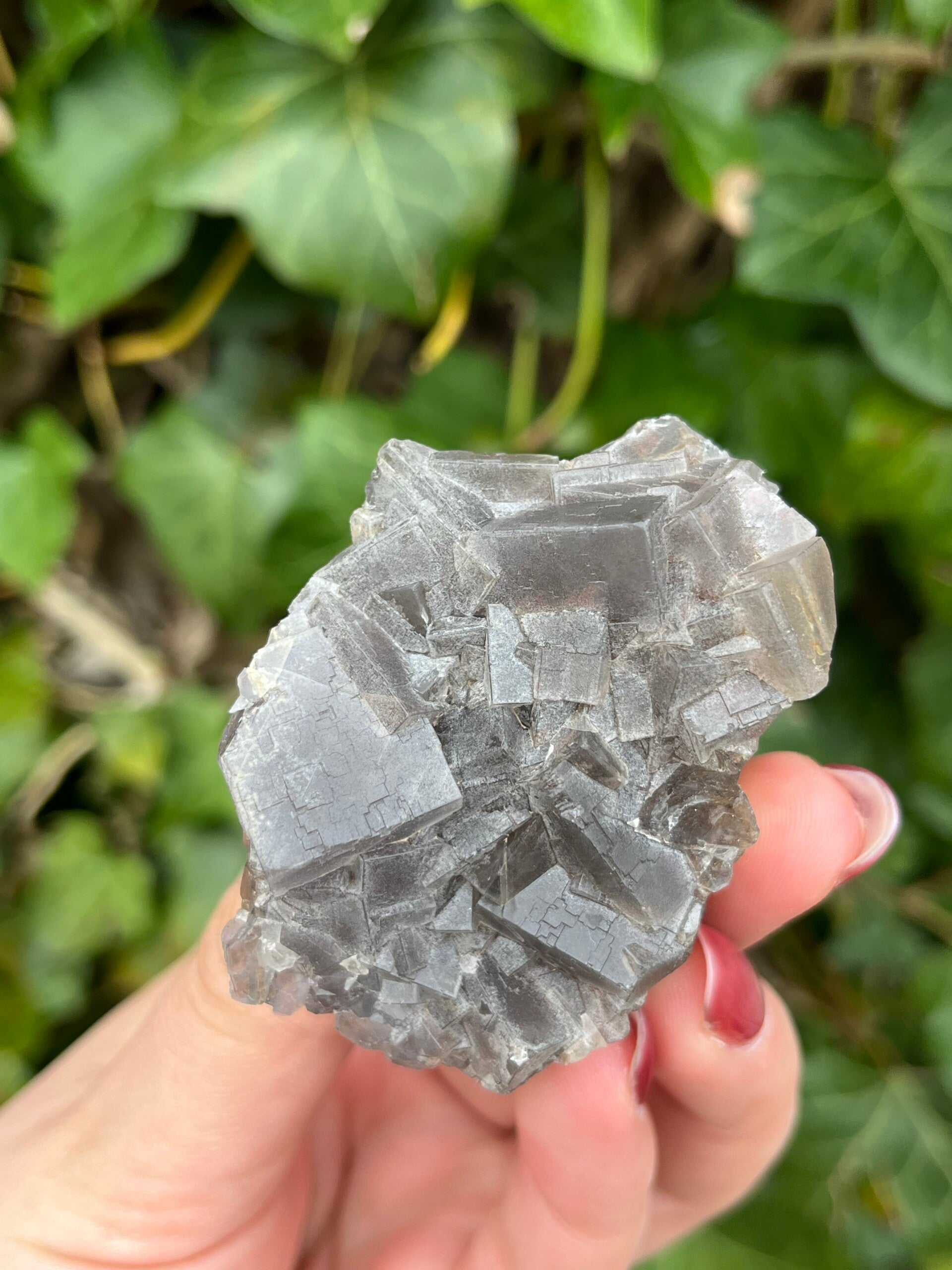 Grijze fluoriet