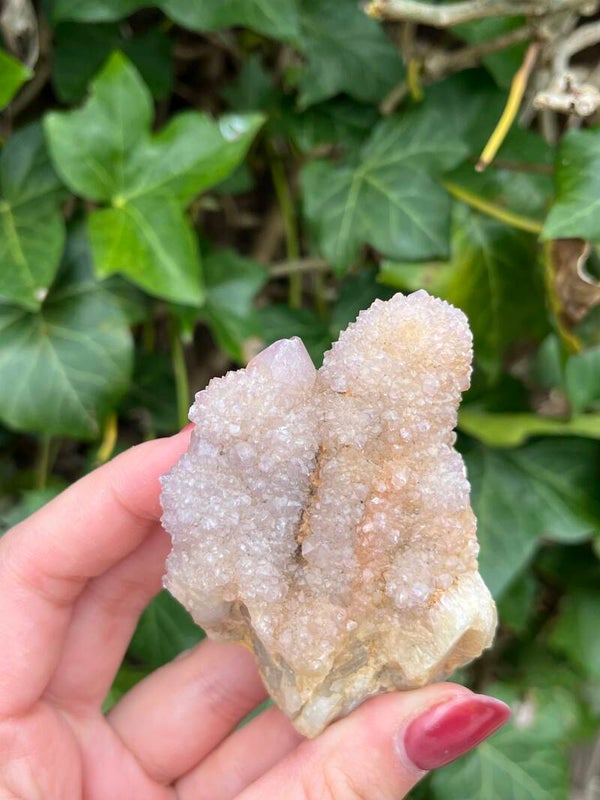 Cactus amethist