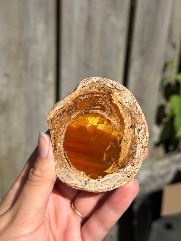 Thunderegg