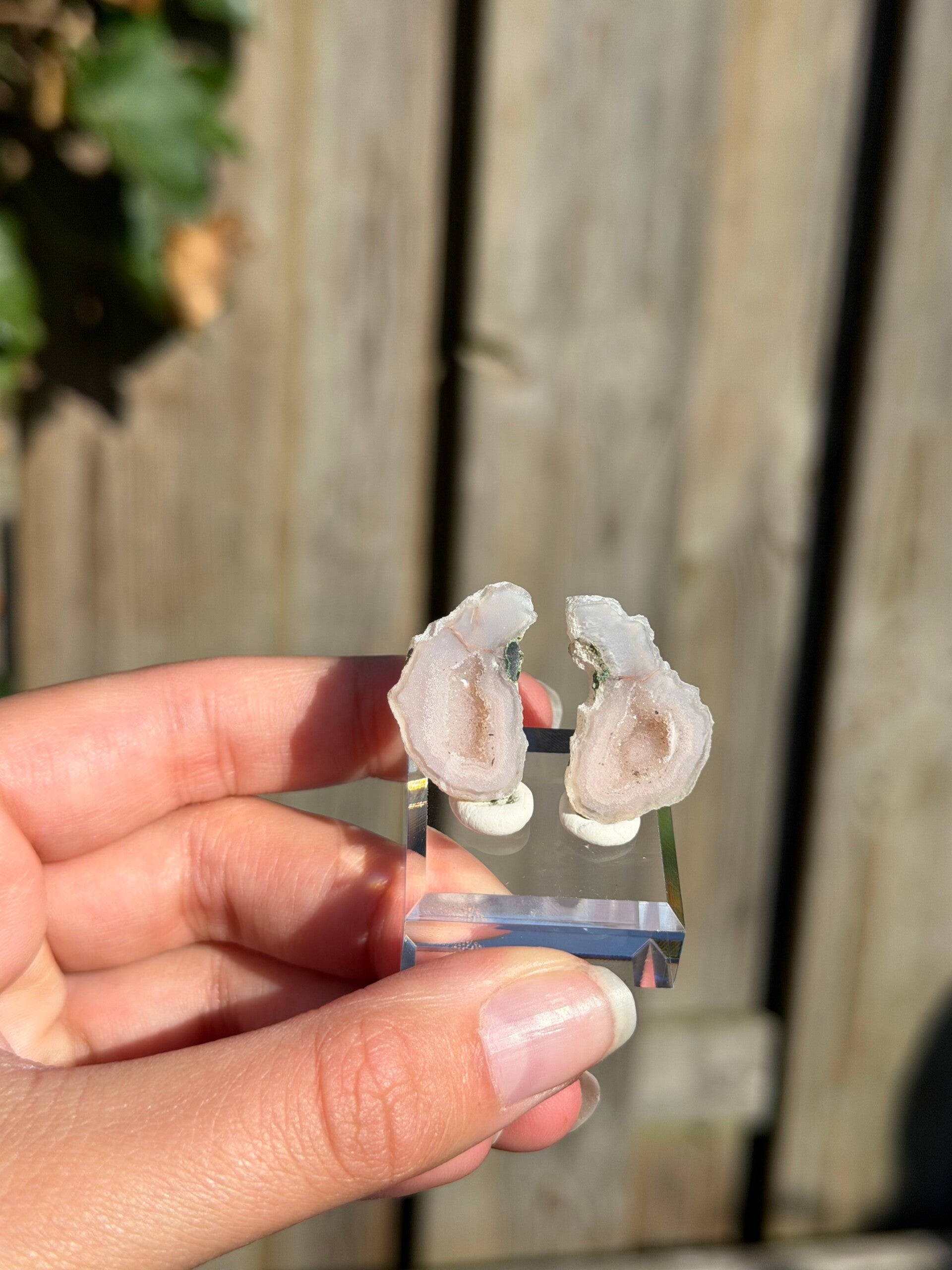 Tabasco agaat geode paar nr. 3