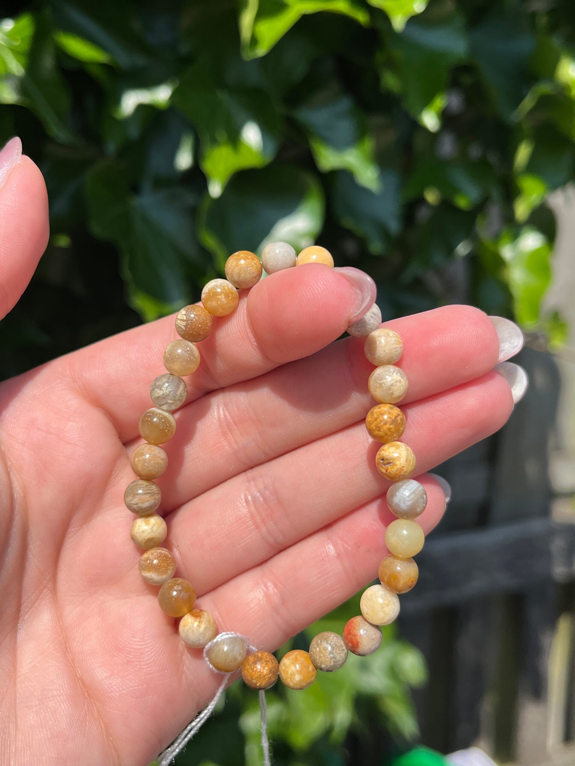 Fossiel koraal armband 6MM