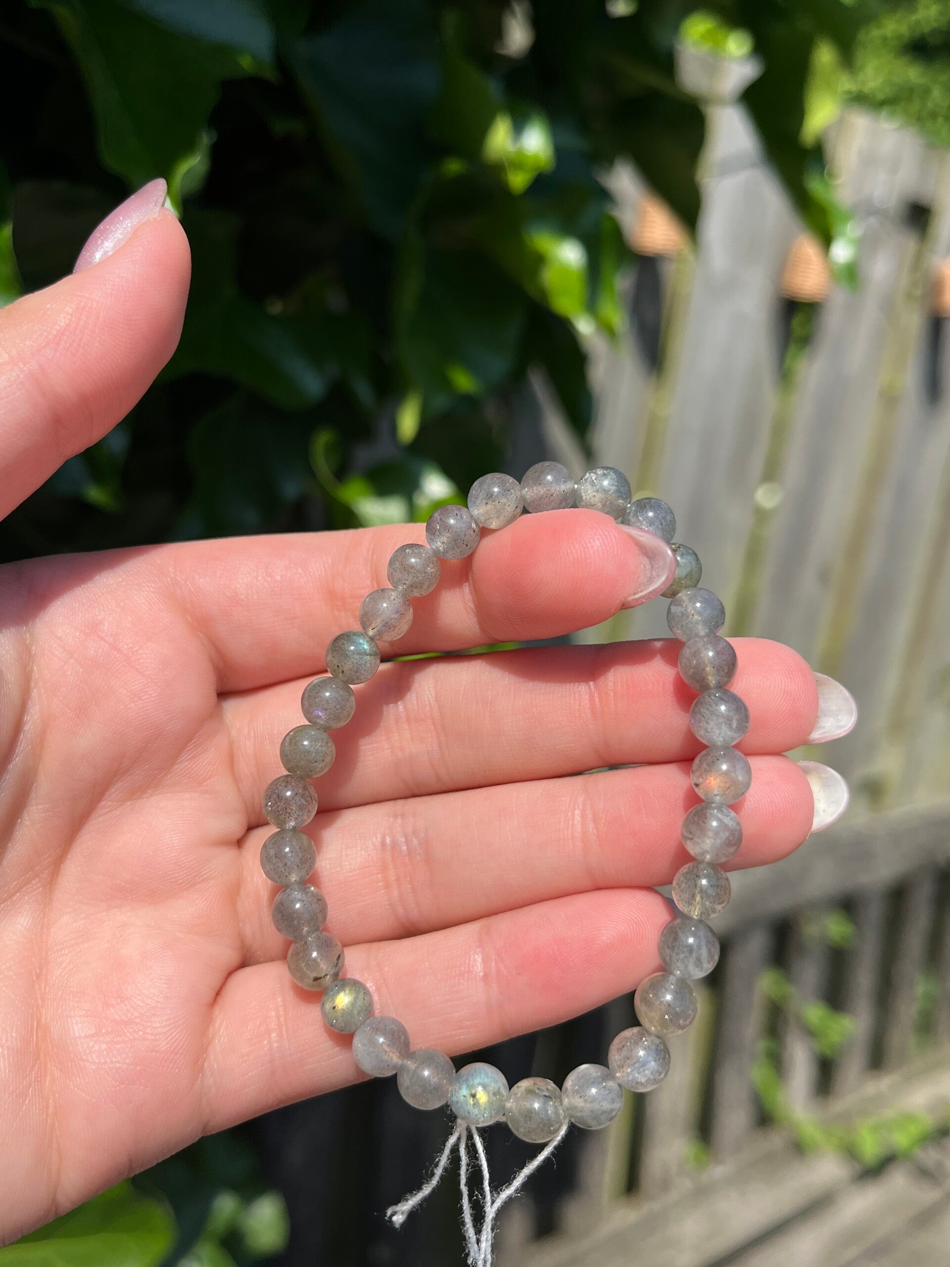 Labradoriet armband 6MM