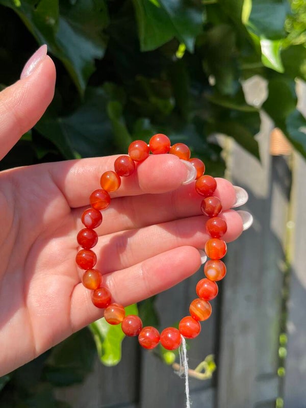 Carneool armband 8MM