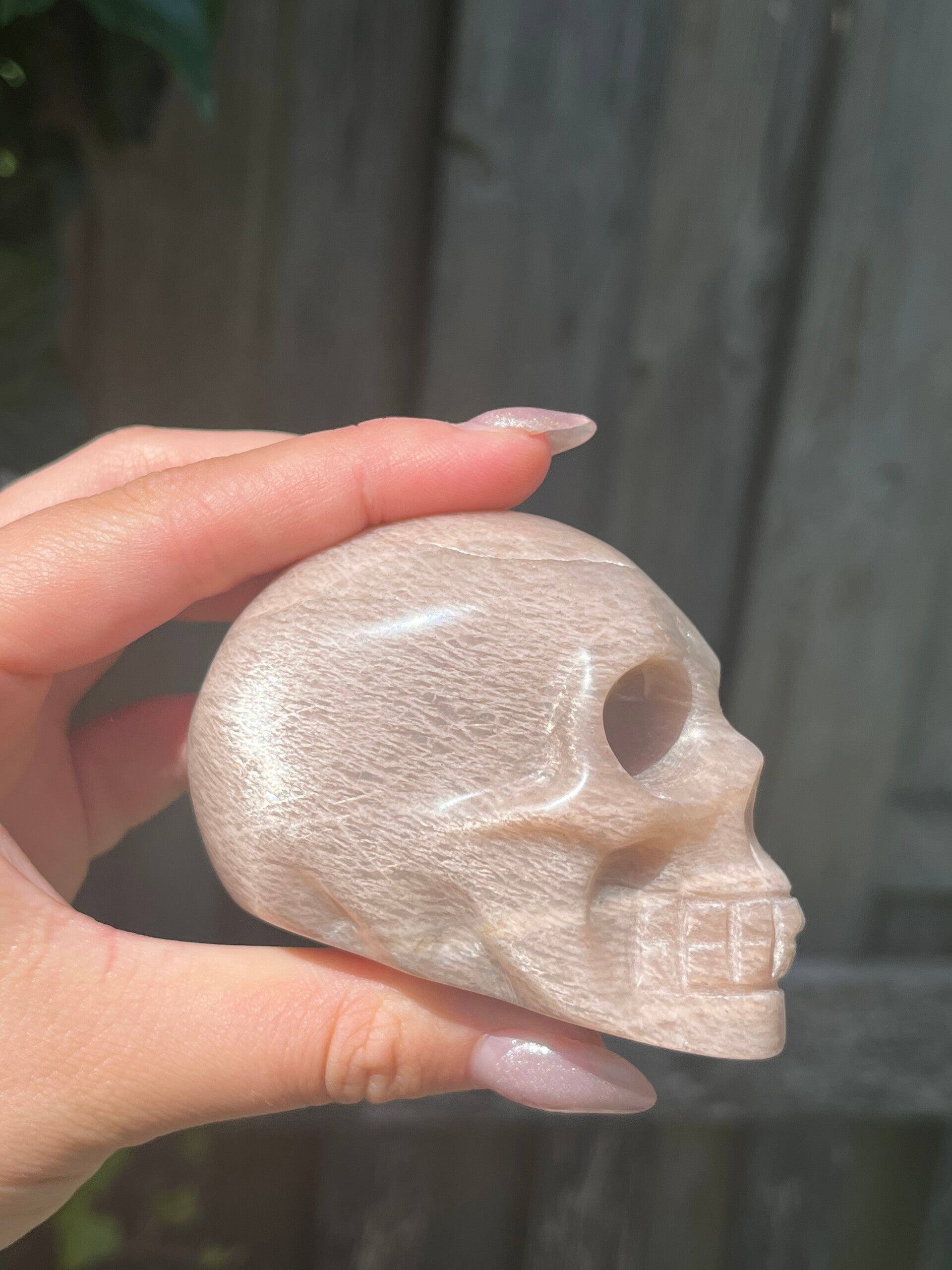 Perzik maansteen skull