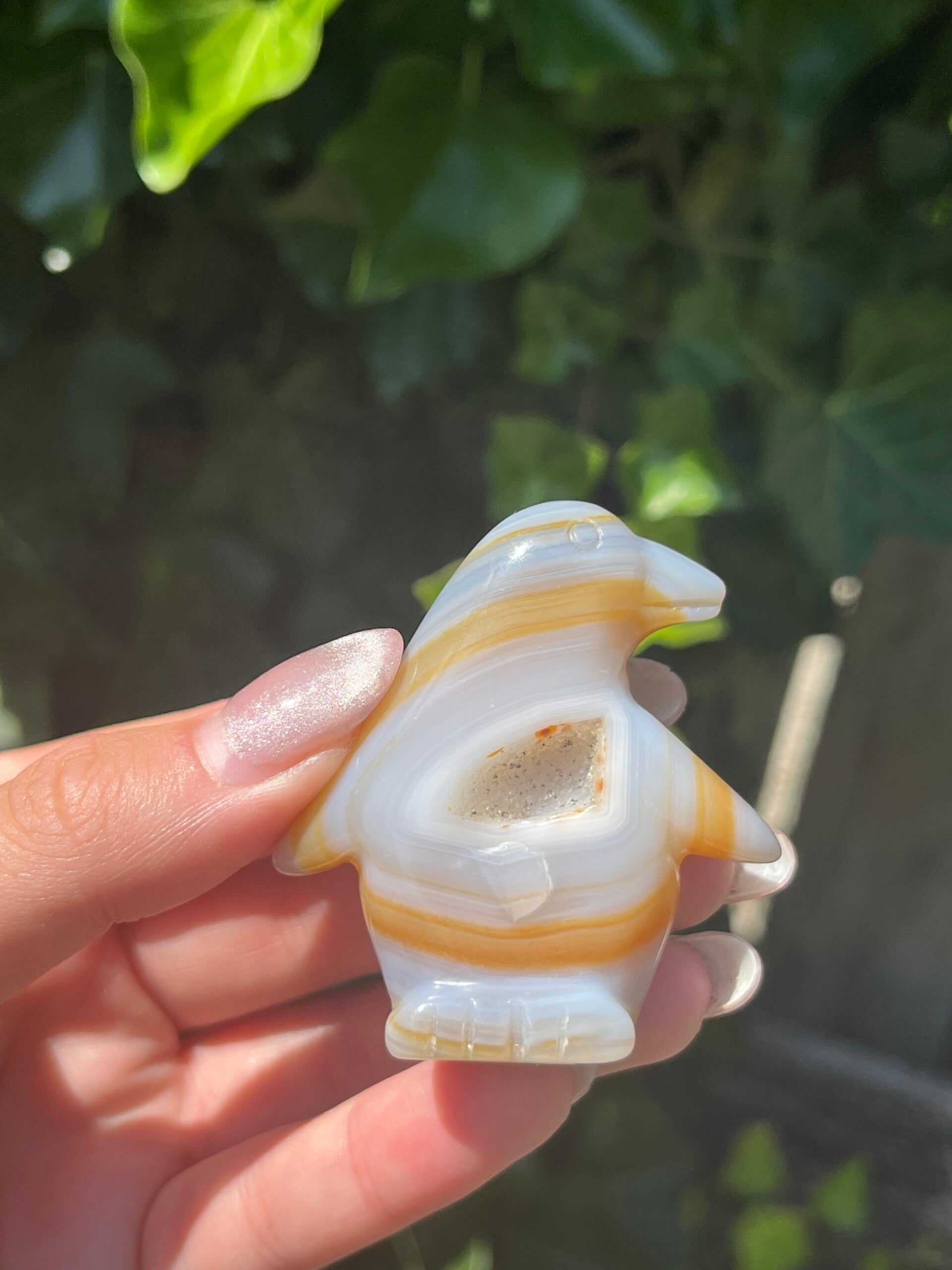 Agaat pinguïn