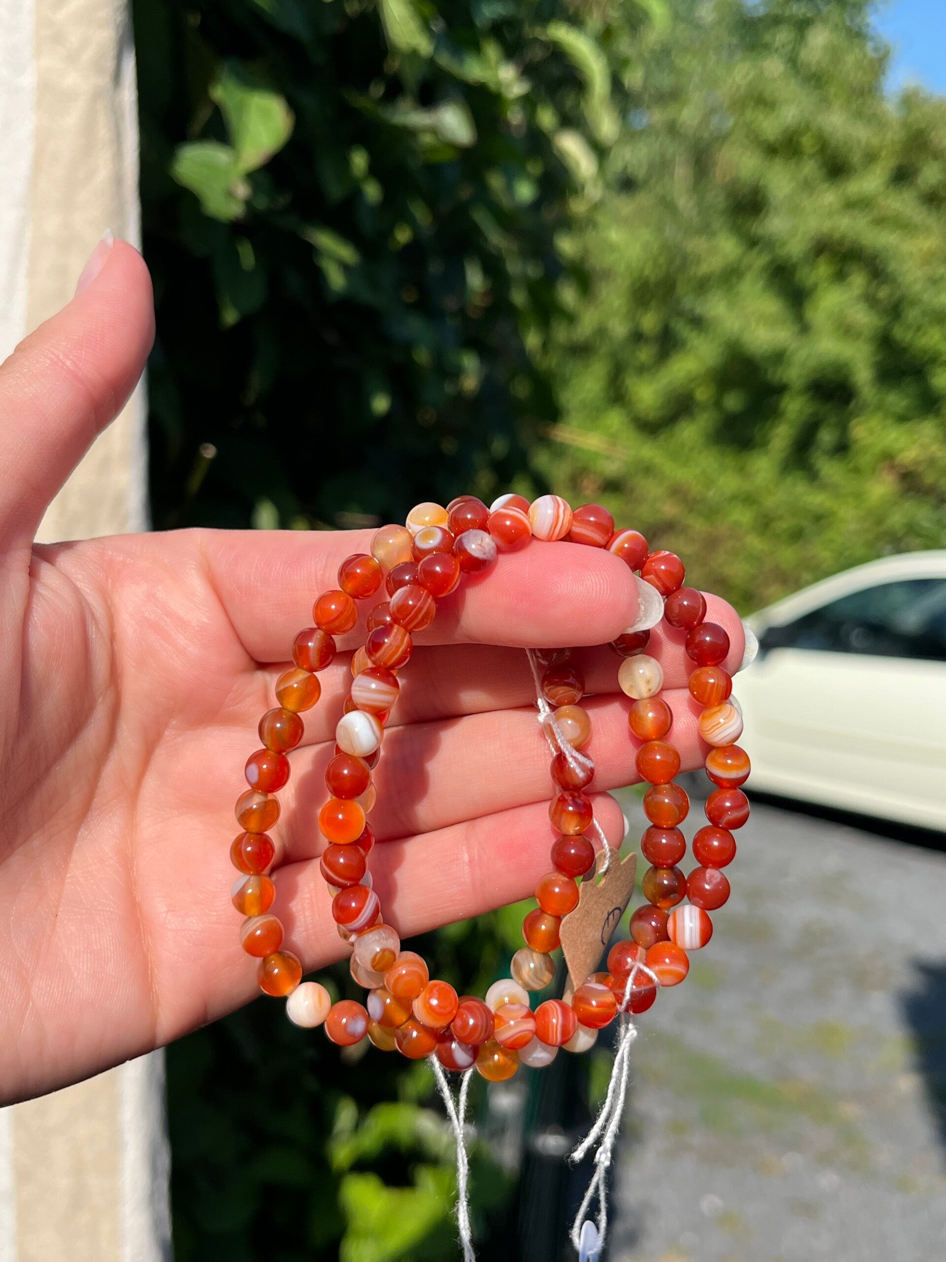 Carneool armband 6MM