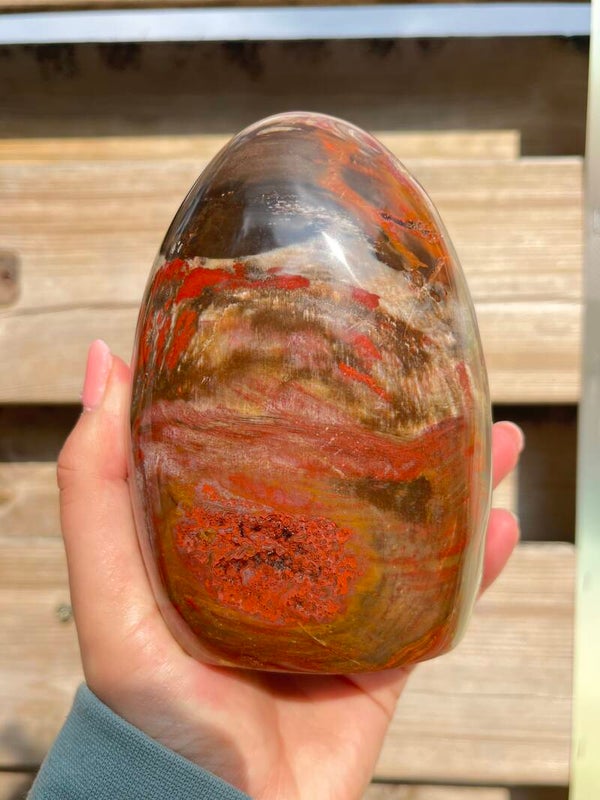 Versteend hout sculptuur