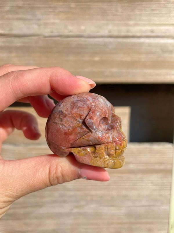 Oceaan jaspis skull