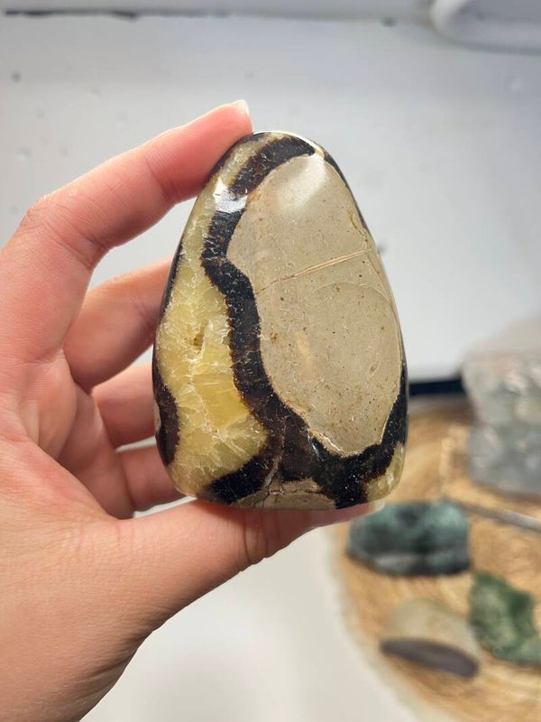 Septarie sculptuur