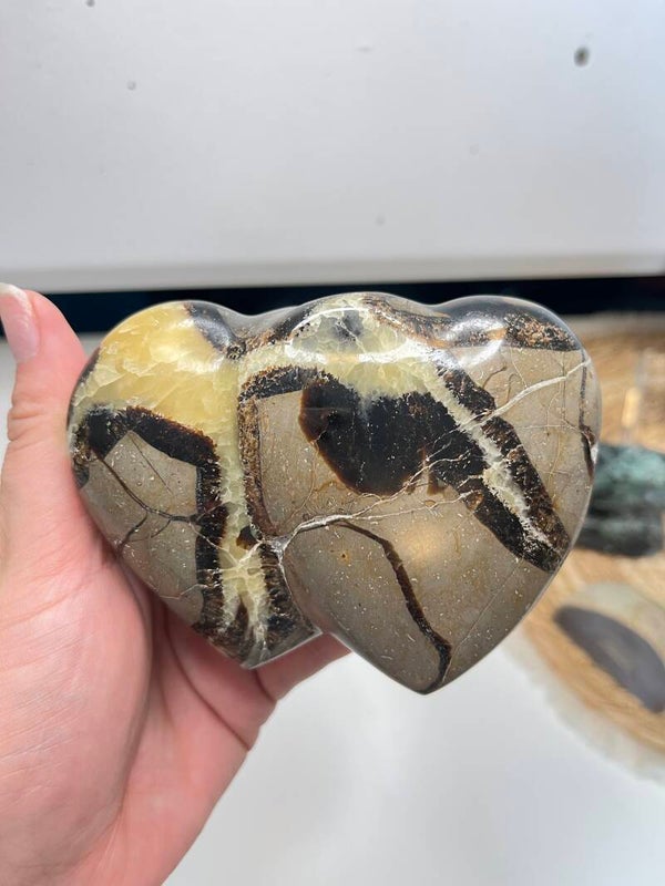 Dubbelhart septarie