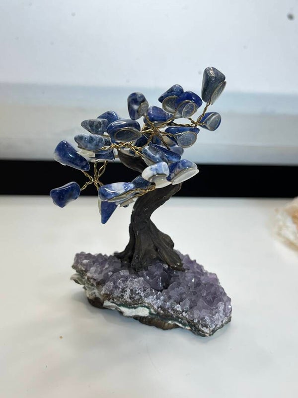 Sodaliet boom