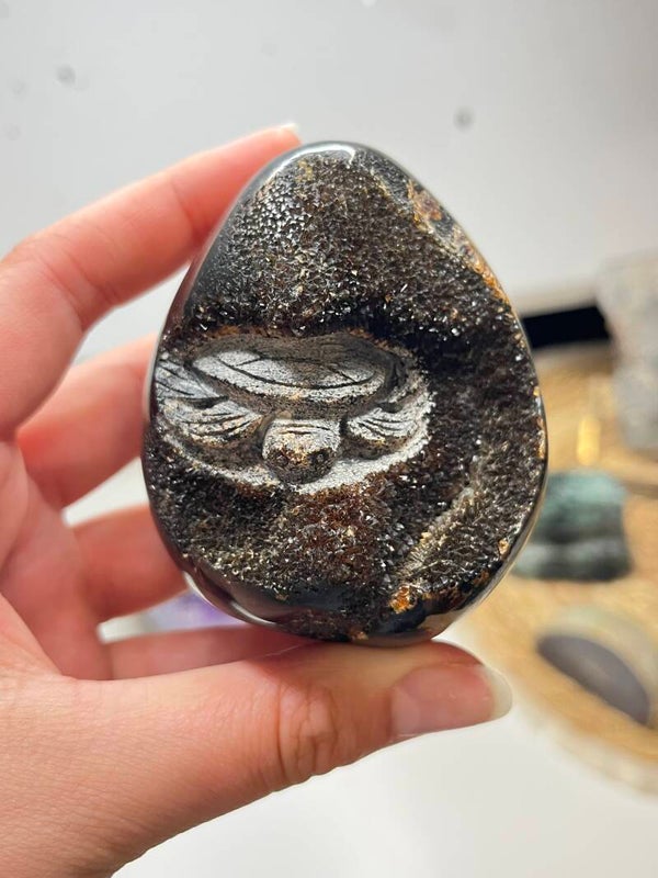 Septarie ei met schildpad carving