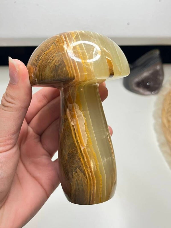 Aragoniet paddenstoel