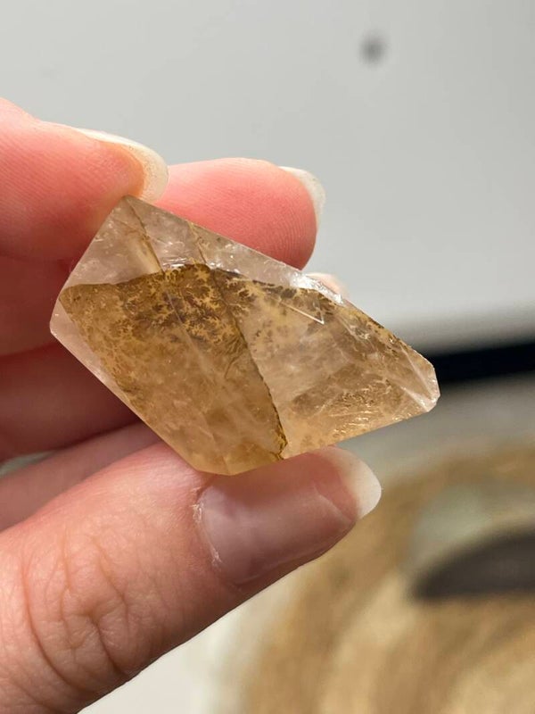 Dendriet in kwarts