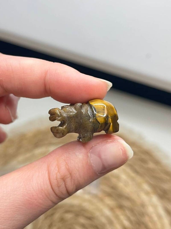Mini tijgeroog nijlpaard