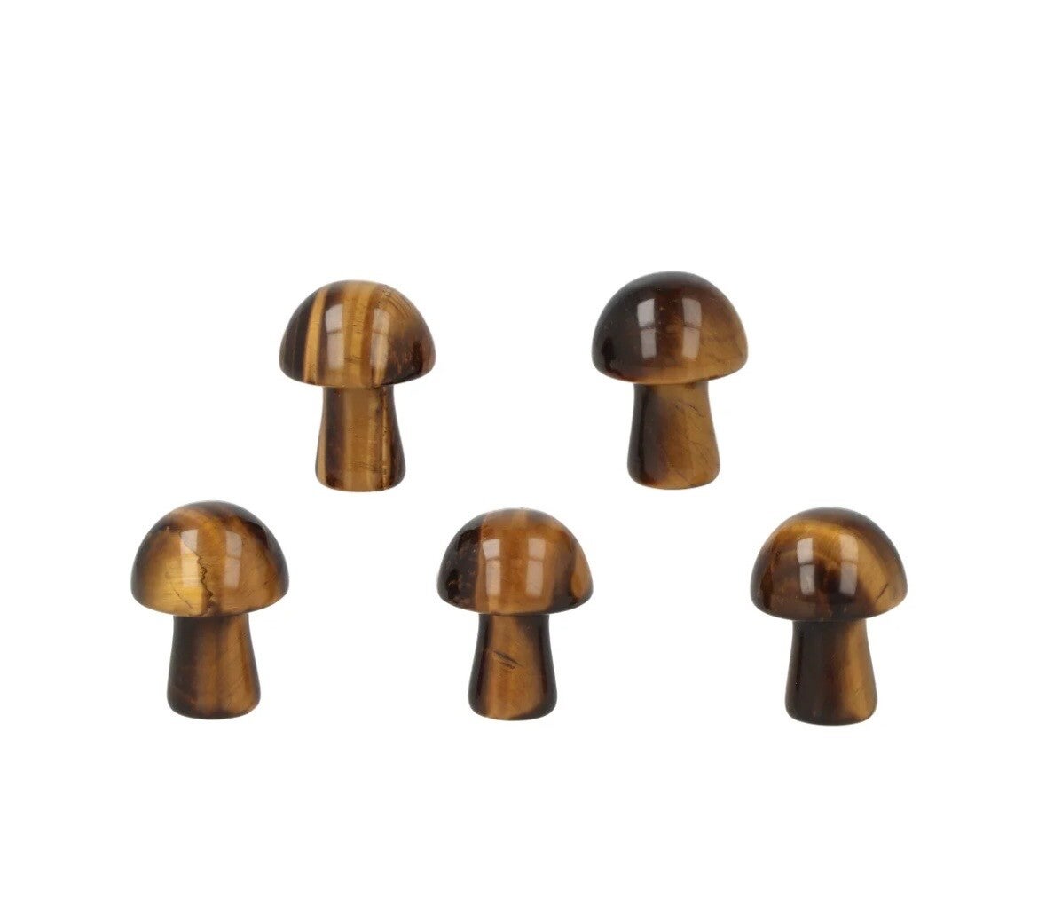 Tijgeroog paddenstoel