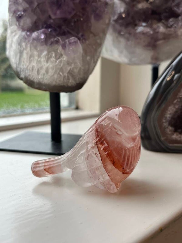 Hematoide kwarts vogeltje