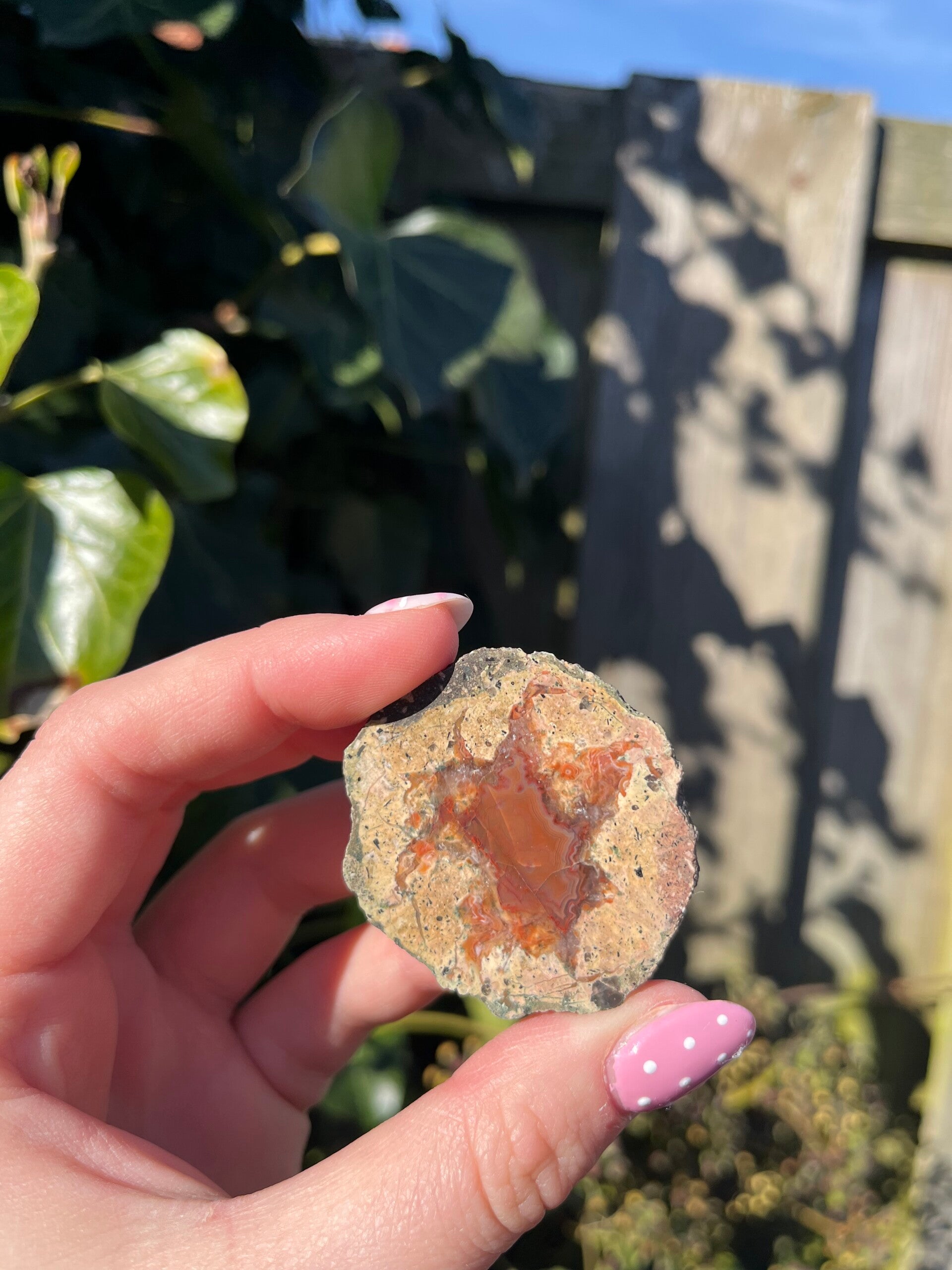 Thunderegg
