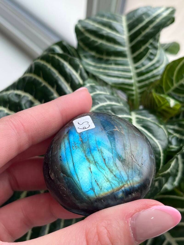 Labradoriet handsteen nr. 14