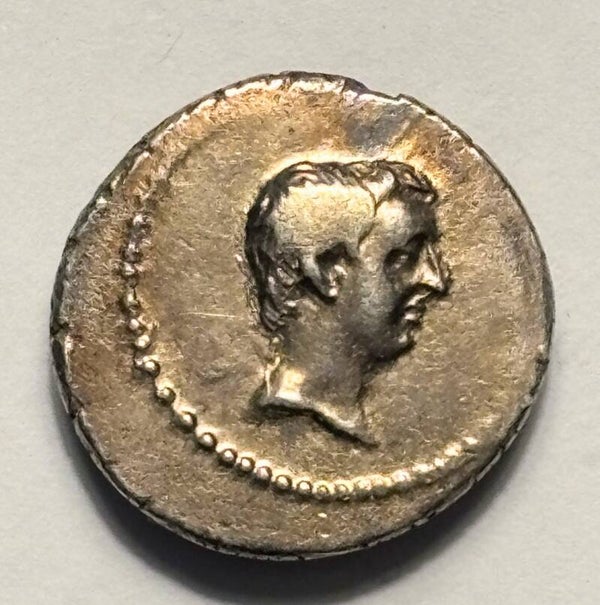 L.Livineius Regulus (c.42 BC) - Denarius- head of the Praetor L. Livineius Regulus - Reverse. Curule chair between six fasces. (EF)