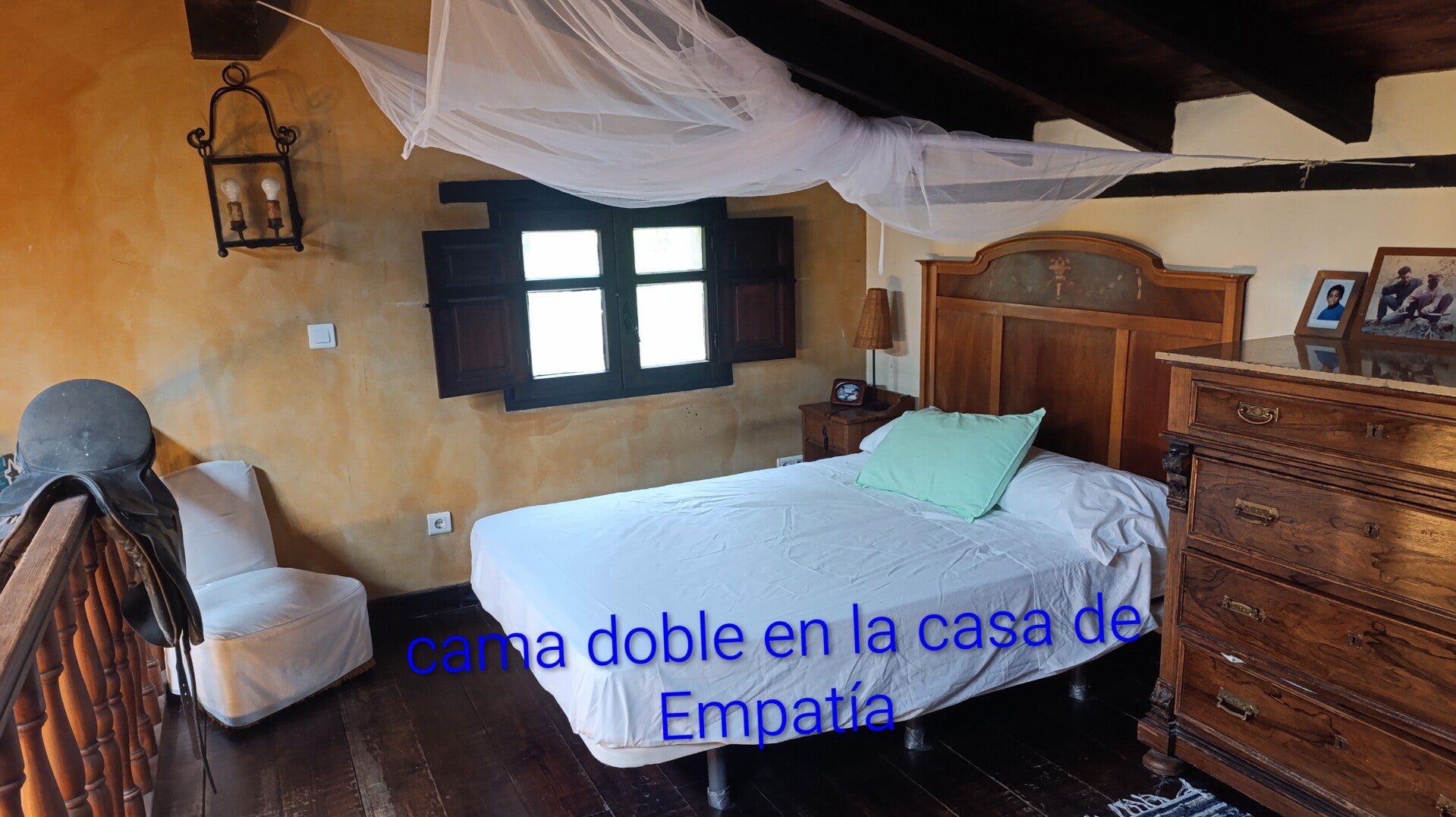 img_20260628_145345-2-standard.jpg