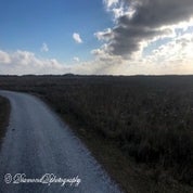 img_2530-kopie-standard-8i6f56.jpg