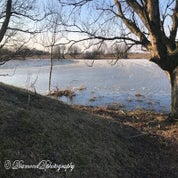 img_2648-2-standard.jpg
