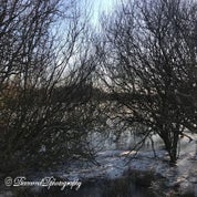img_2661-1-2-standard.jpg