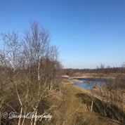 img_2681-standard.jpg
