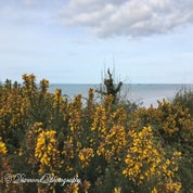 img_3824-1-standard-3xe9b0.jpg