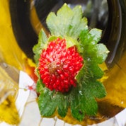 lq5a4992-standard.jpg