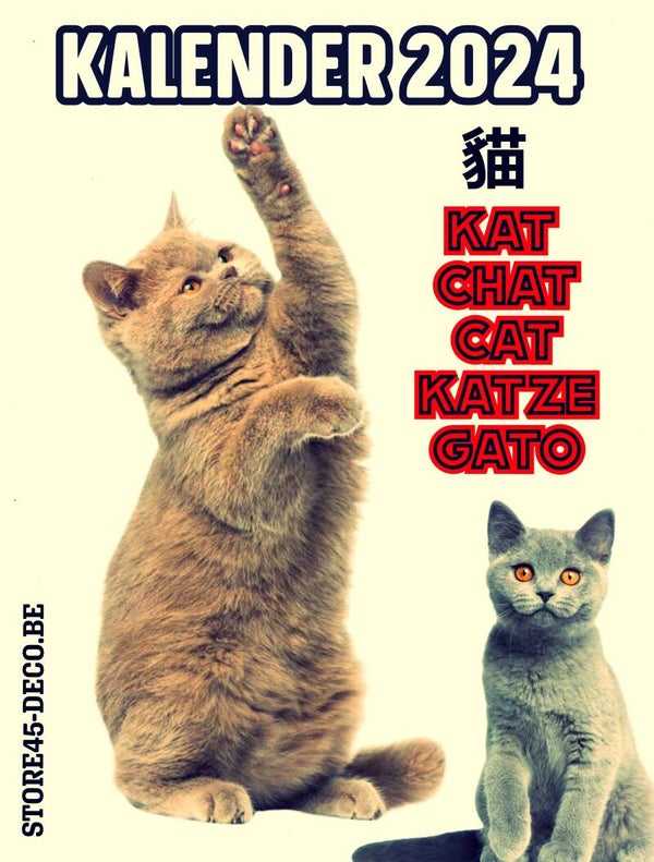 Kalender Cats 2024