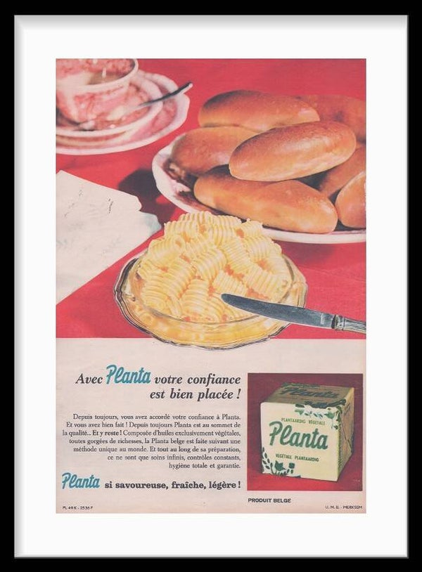 Butter Planta
