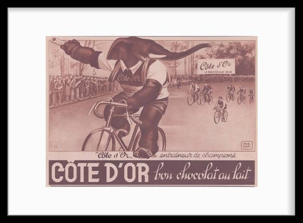 Côte D'or